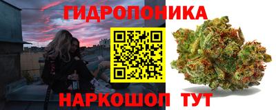 бошки Гусь-Хрустальный