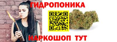 индика Гусиноозёрск
