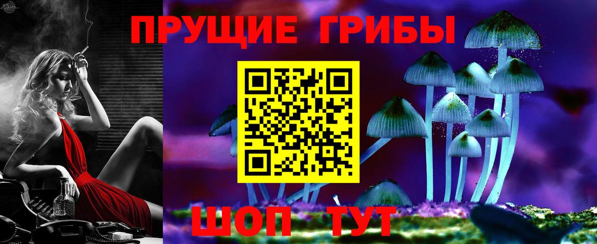 Михайловск  Псилоцибиновые грибы GOLDEN TEACHER  Псилоцибиновые грибы Psilocybe  Вход с VPN 