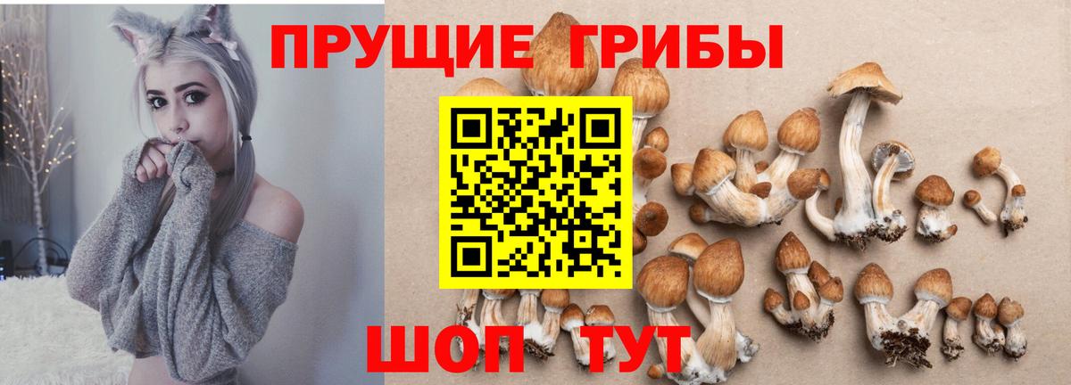 Псилоцибиновые грибы мухоморы Михайловск