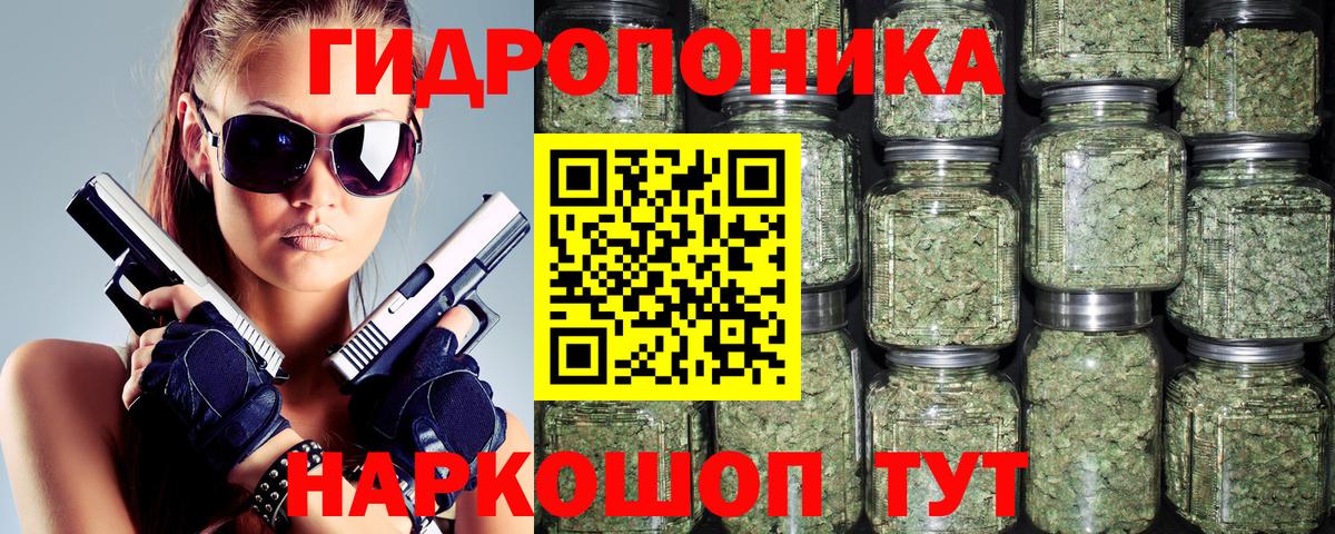 Конопля планчик Михайловск